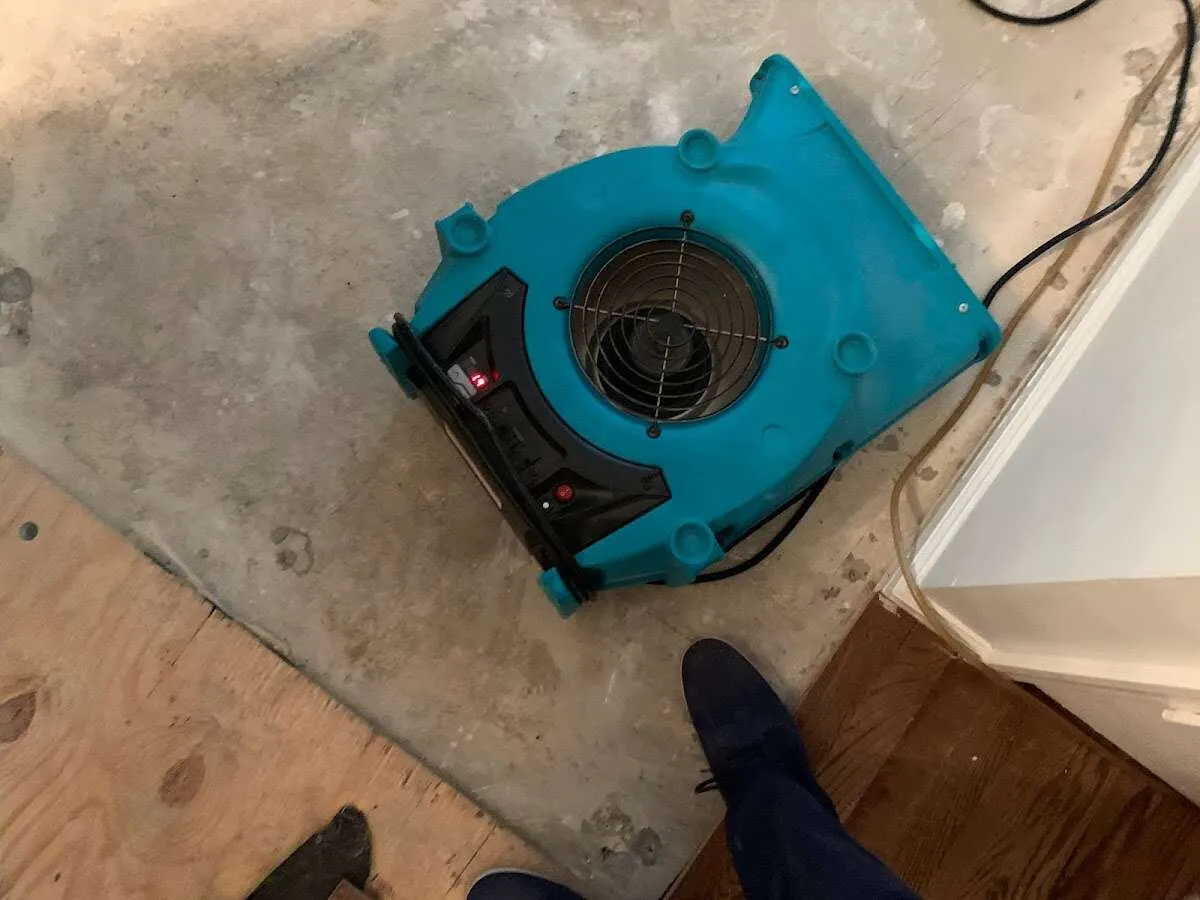 Air mover drying subfloor during Commercial Water Damage Restoration in Loughman